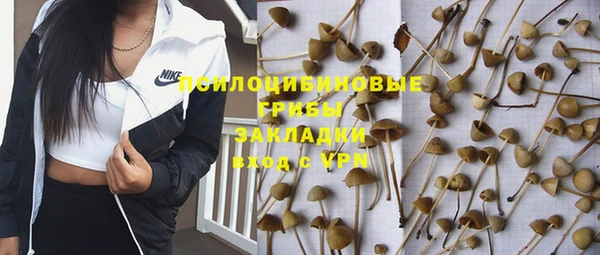 ПСИЛОЦИБИНОВЫЕ ГРИБЫ Абдулино